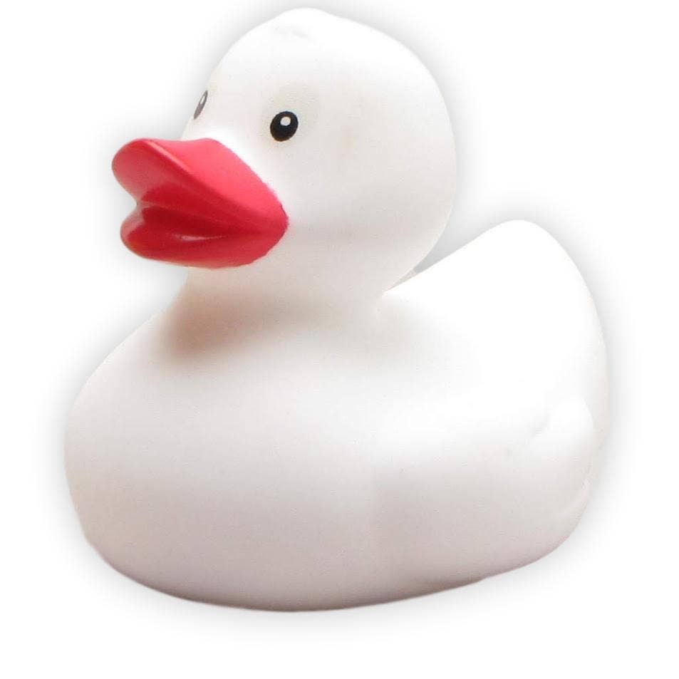 White rubber duck - rubber duck