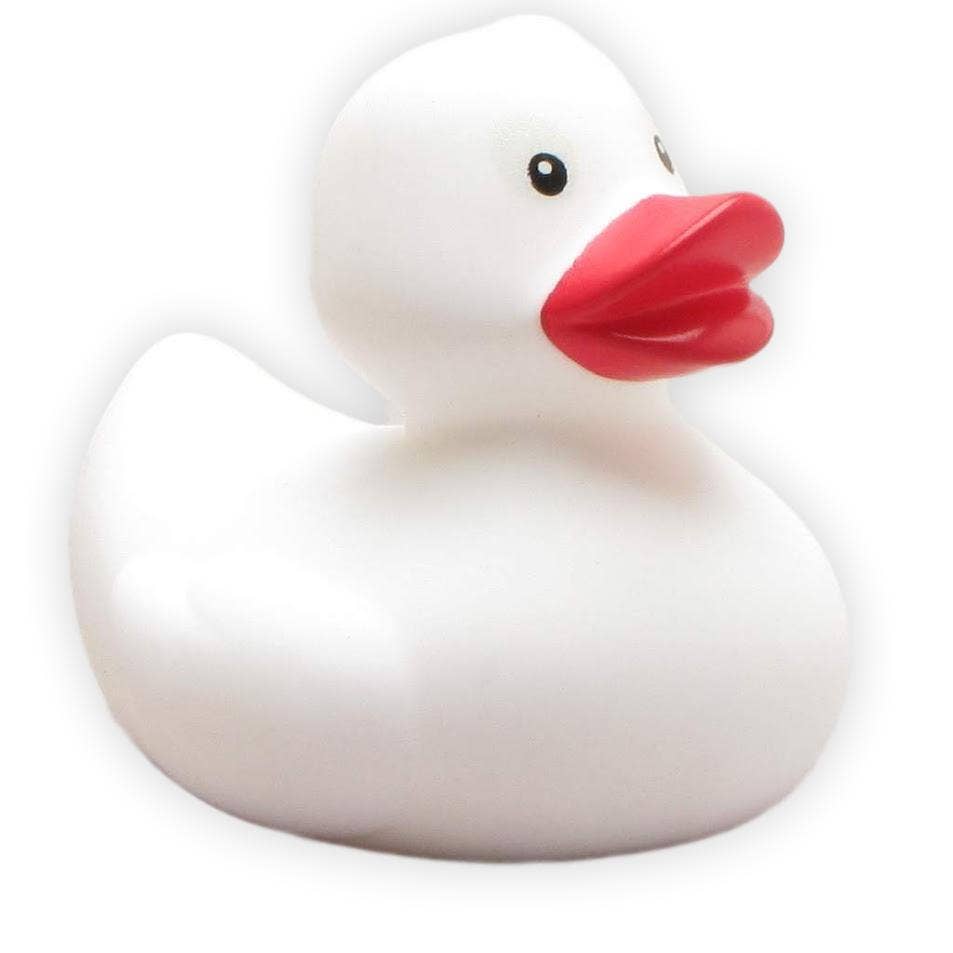 White rubber duck - rubber duck