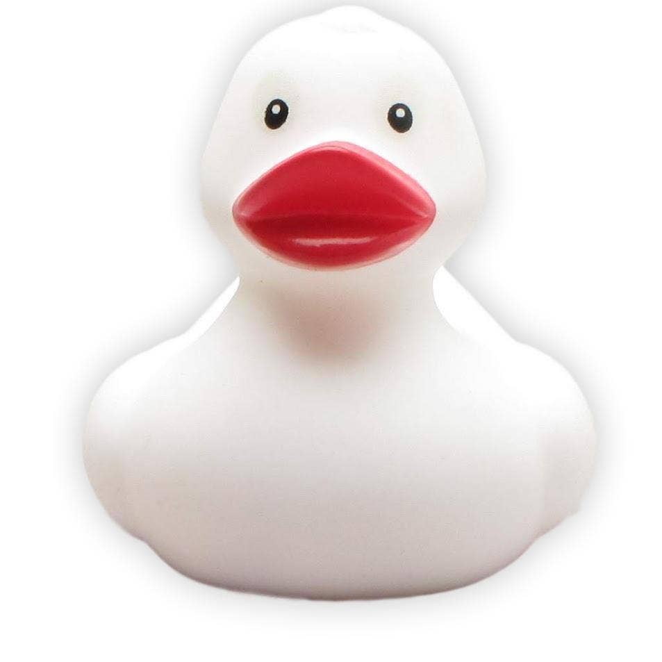 White rubber duck - rubber duck